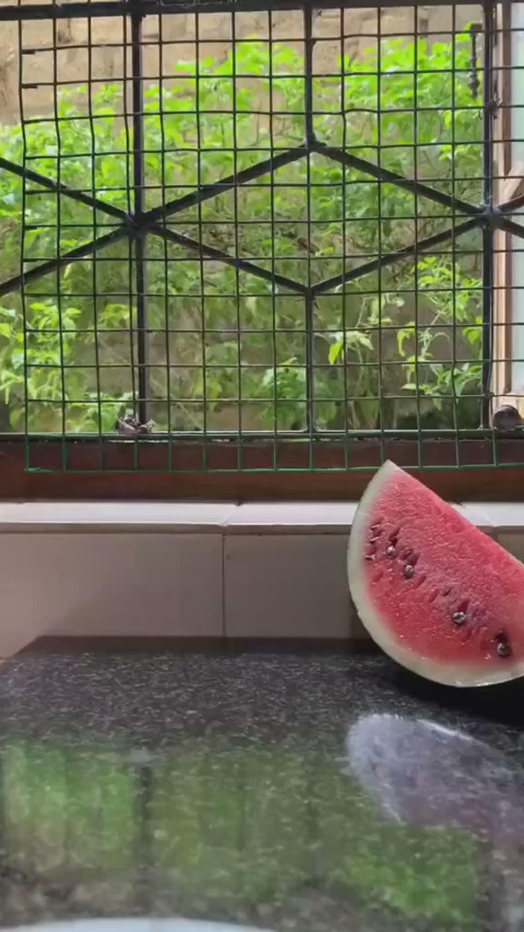 Cordless Personal Size Portable Blender